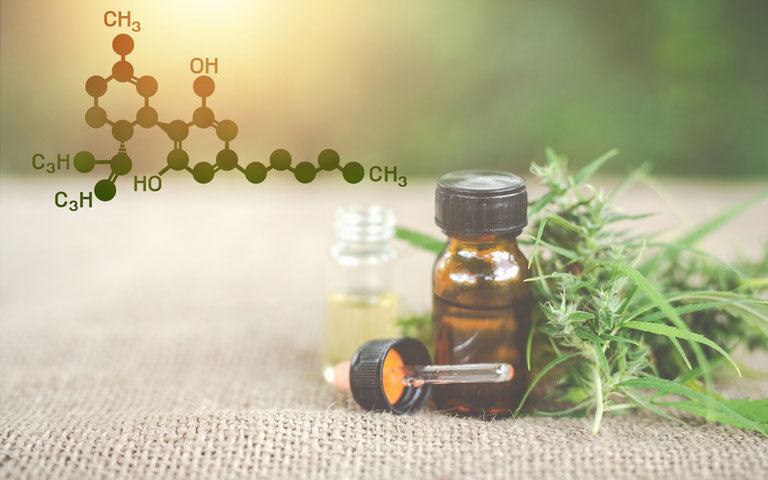 10 New Ways to Integrate CBD Into Your Wellness Regimen