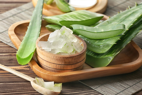 CBD & Aloe Vera - How the Two Interact & Products