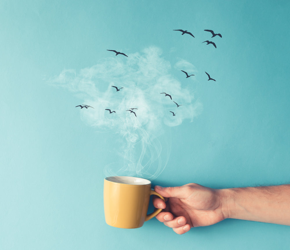 20 Good Morning Habits to Start Your Day