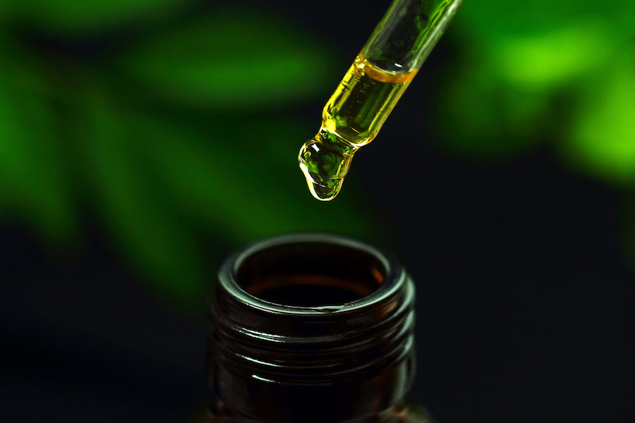 CBD Oil Terpenes - Benefits & FAQ